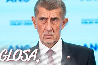 Glosa: ANO chtělo být veselé, ale na tiskovce kvičelo jako sele. Tahle země je ještě pro mladý, kňučící Babiši! - Super.cz